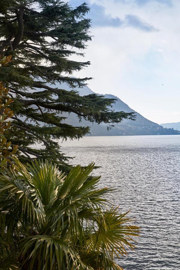 Villa Lario Lake Como Pognana Lario Екстериор снимка